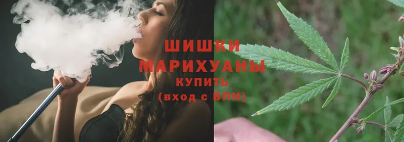 как найти наркотики  Пыталово  Канабис White Widow 